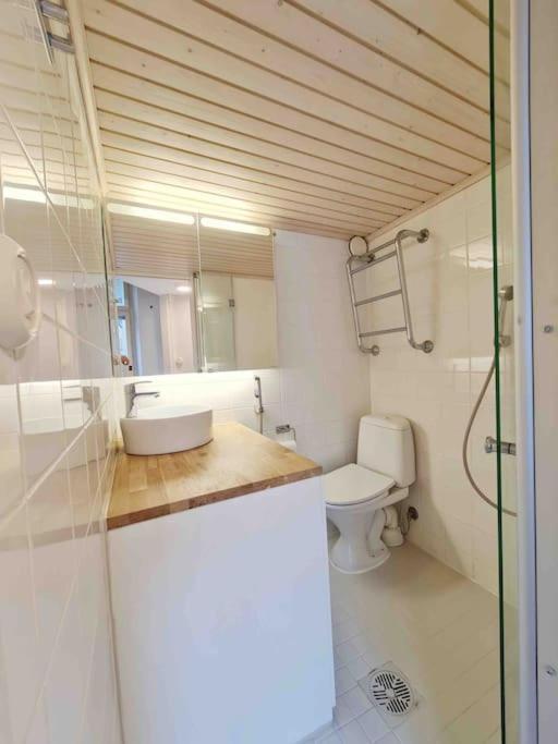 Stylish Studio In Downtown Helsinky Exteriér fotografie
